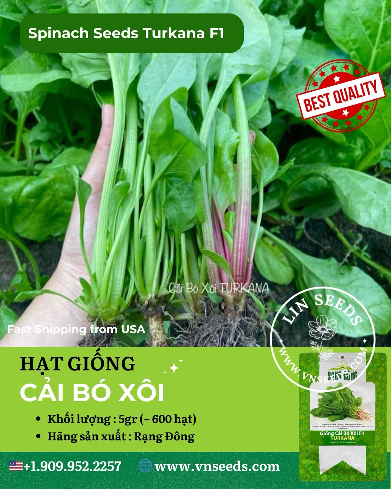 Hat Giong Cai Bo Xoi – Spinach Seeds F1 –US Seller- Fast Shipping-Fast Growing