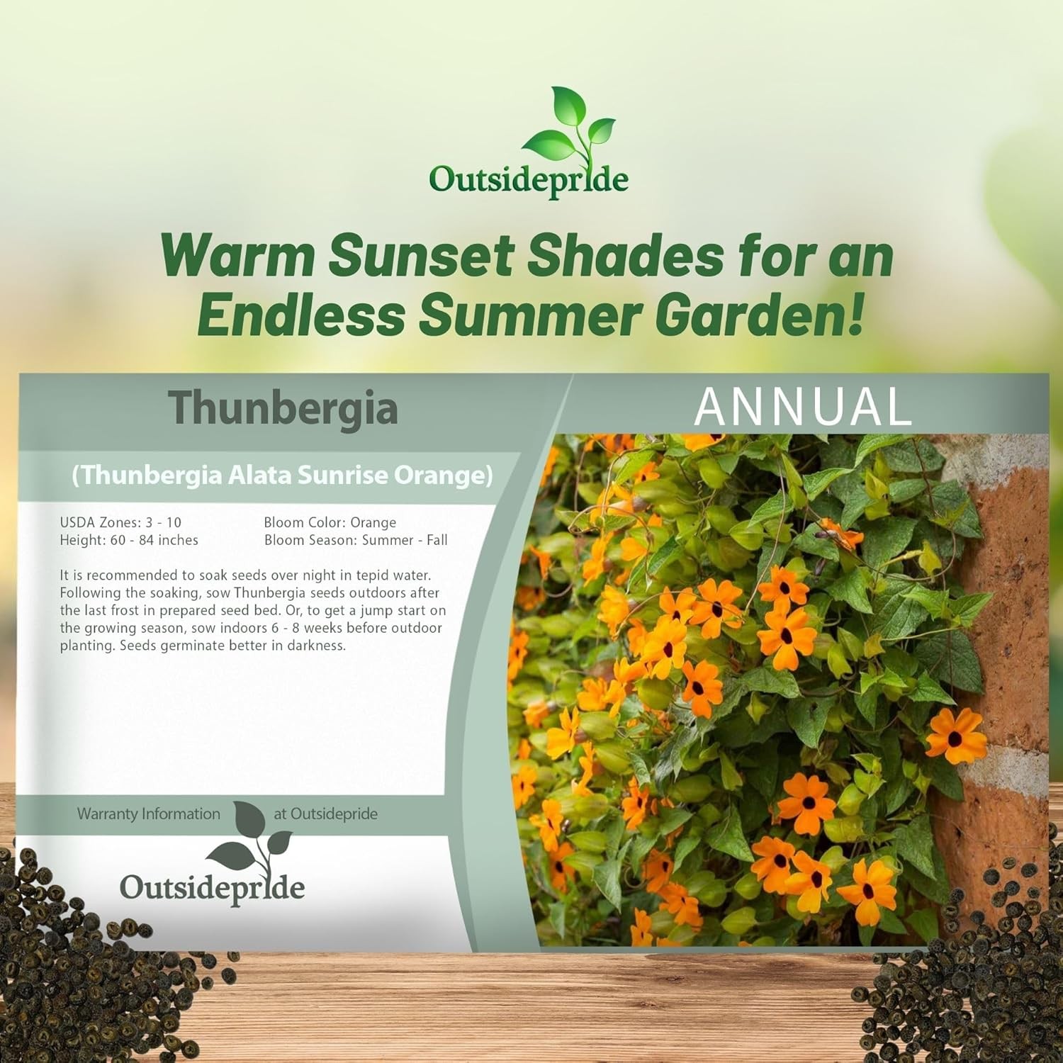 100 Seeds Orange Thunbergia Seeds For Planting – Black Eyed Susan Vine