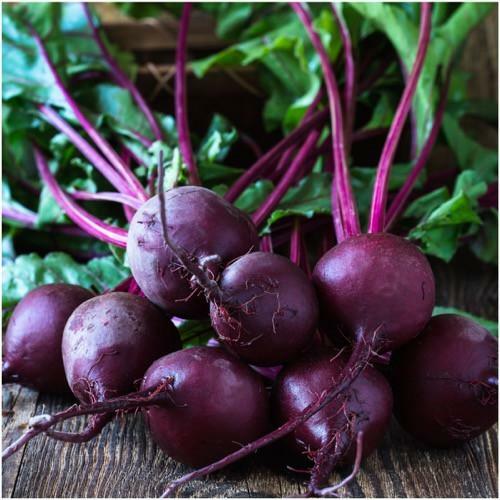Beet Seeds Early Wonder Tall Top 100 Ct Vegetable Garden NON-GMO FREE SHIPPING