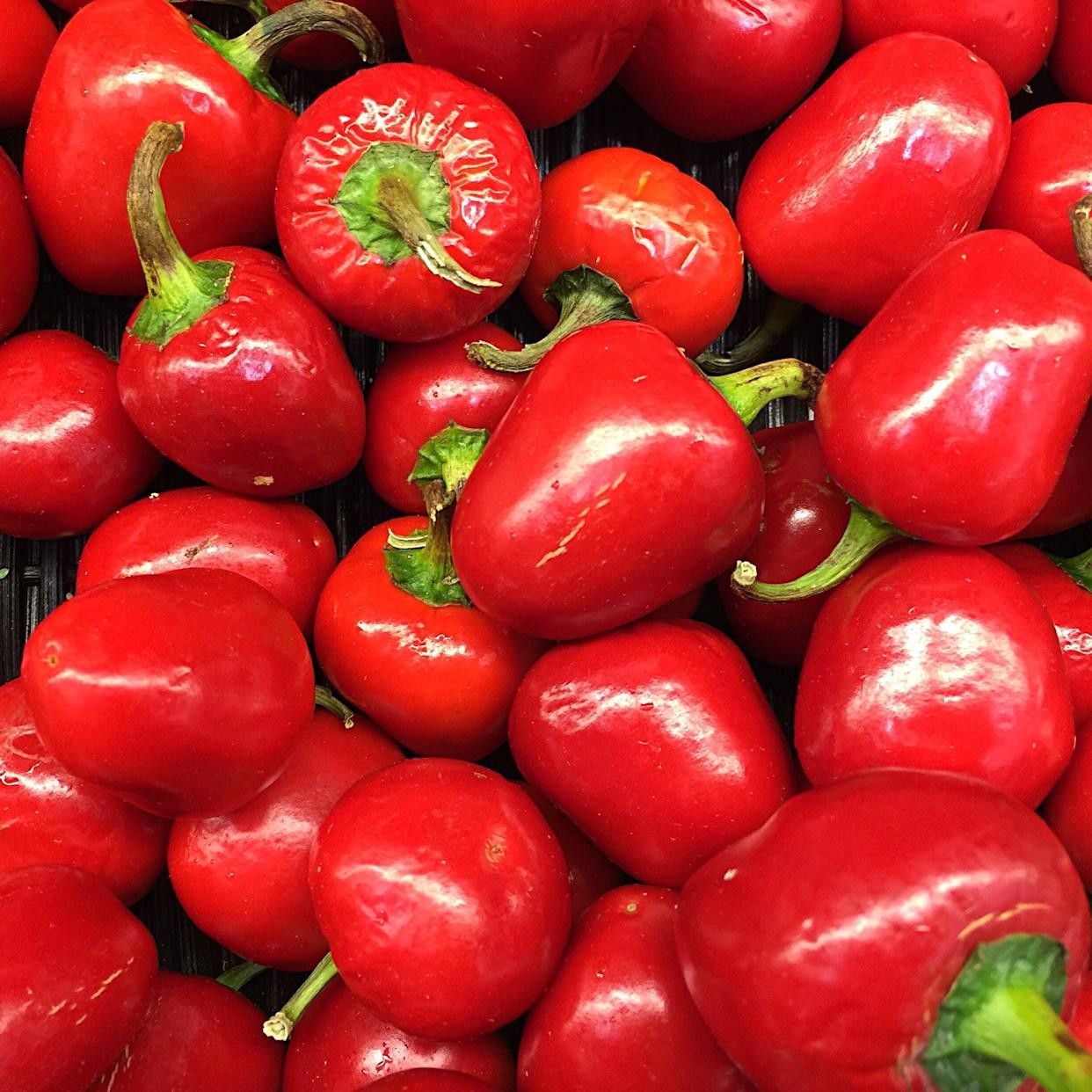 100 Heirloom Red Pimento Pepper Seeds – Garden Classic – Sweet Pepper – No Heat