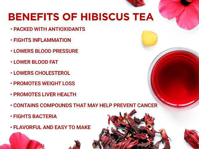 Roselle Seeds Hibiscus sab Jamaican Sorrel Florida Cranberry RARE LUOSHEN FLOWER