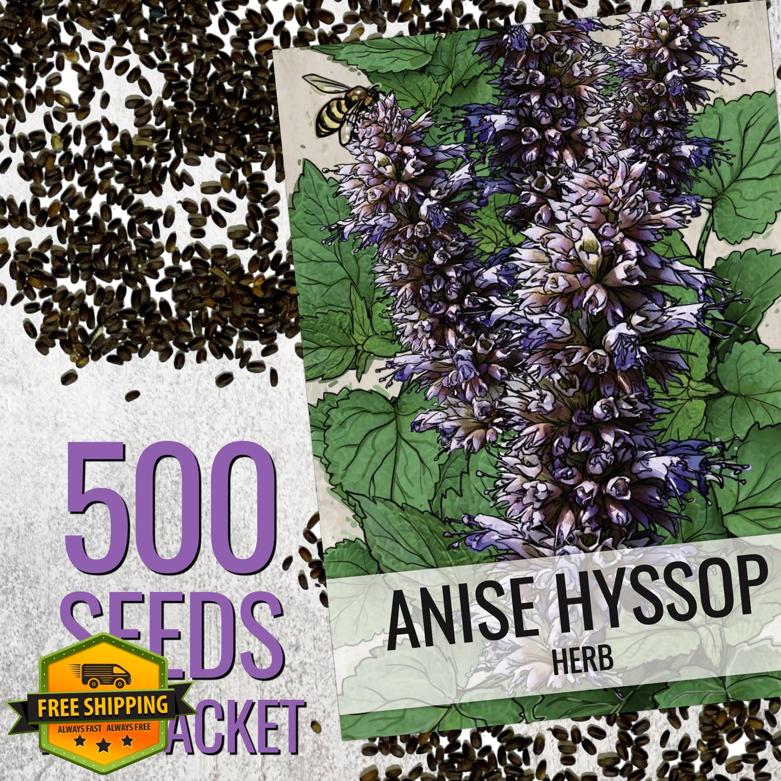 Seed Needs Anise Hyssop Seeds Planting Agastache foeniculum Heirloom Herb