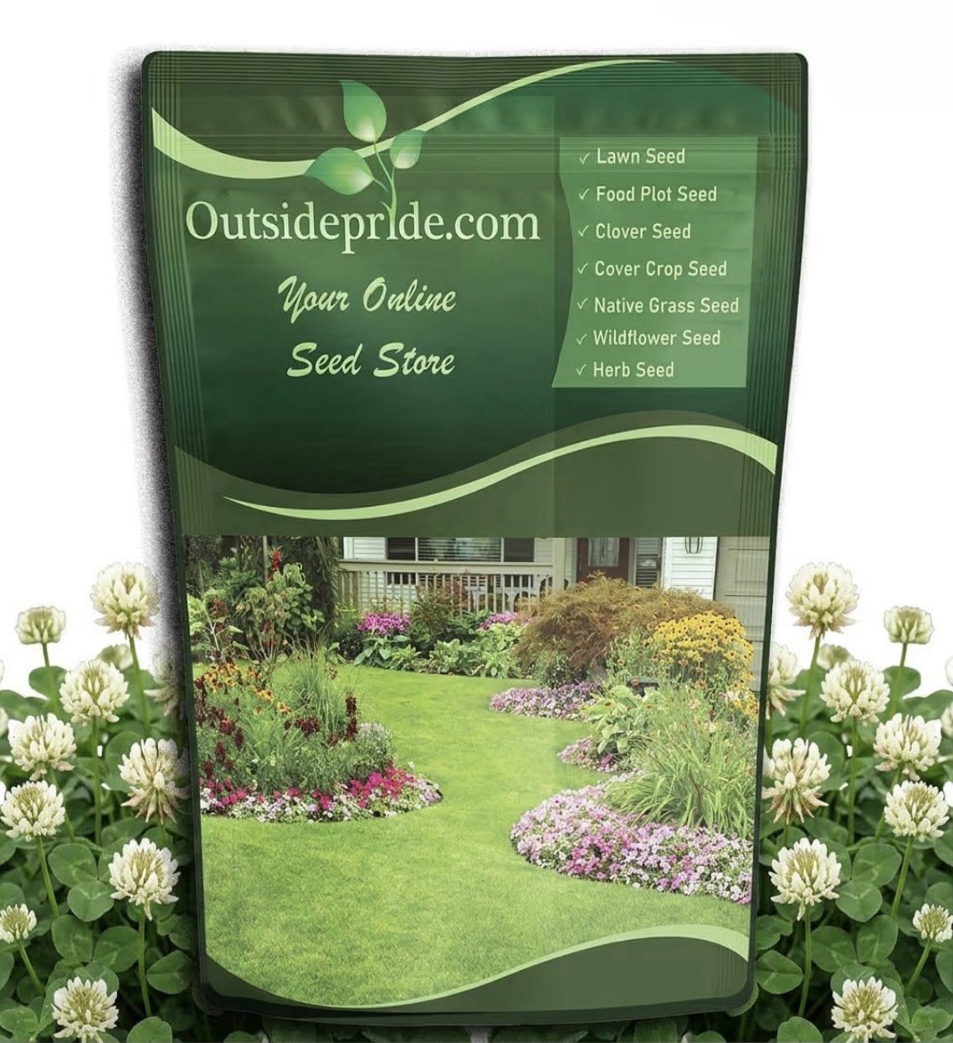 Outsidepride Perennial White Dutch Clover Seed – 5 lbs. Nitrocoated USA