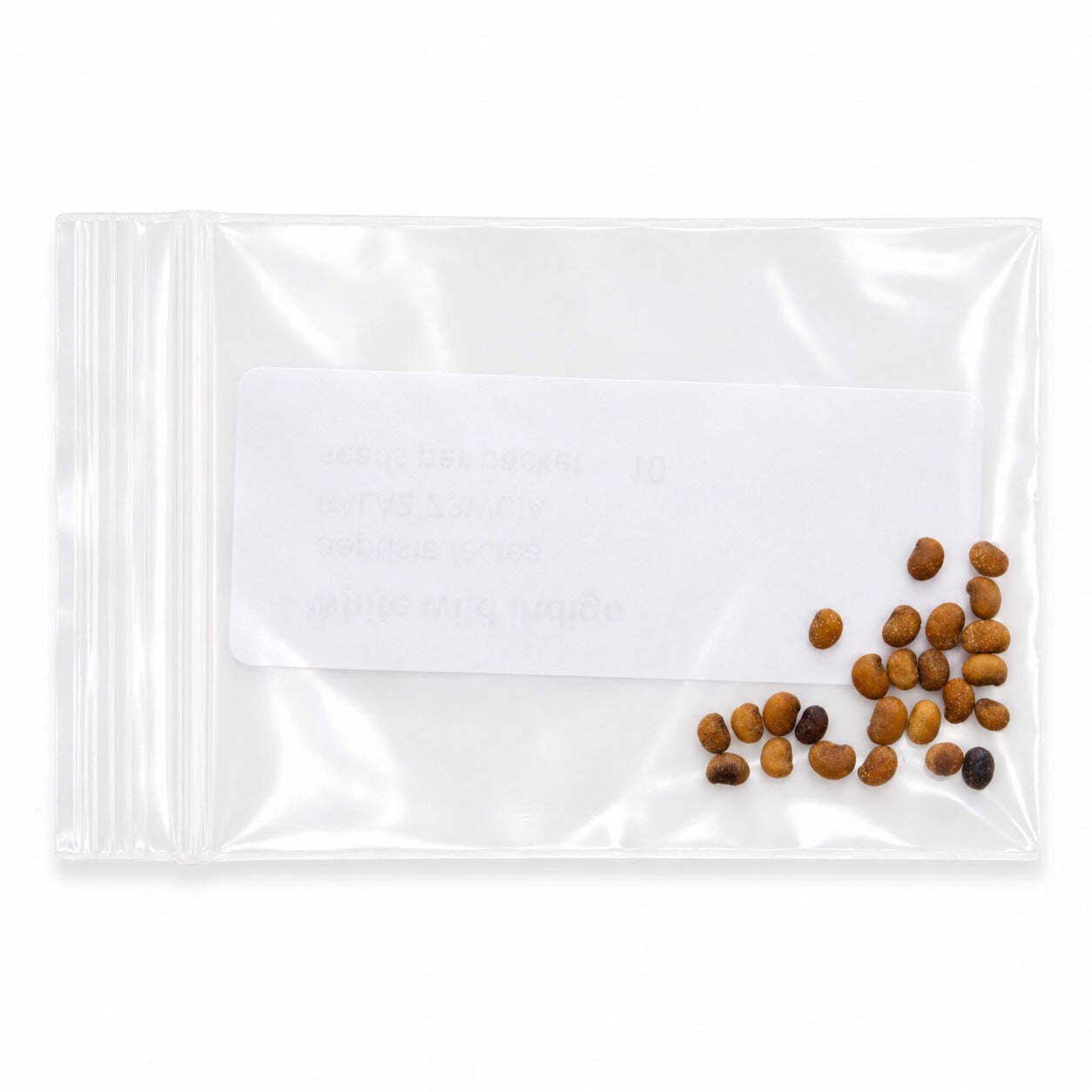 Mini Native Tall Bird Lovers Seed Mix | Prairie Legacy Inc.