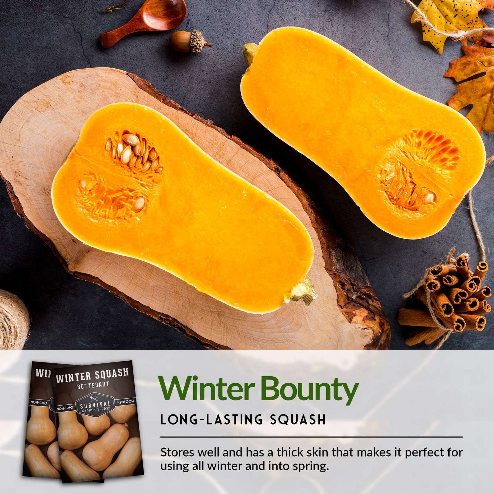 Heirloom Butternut Squash Seeds NonGMO, High Yield, Easy to Grow 2 Packs