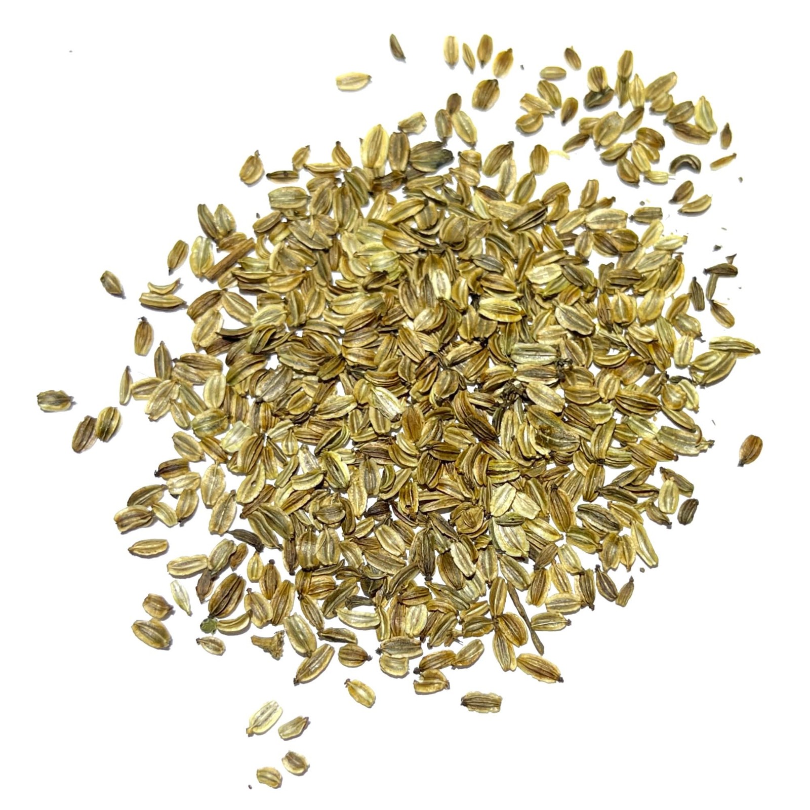 Lovage Herb Seeds For Planting (Levisticum officinale)