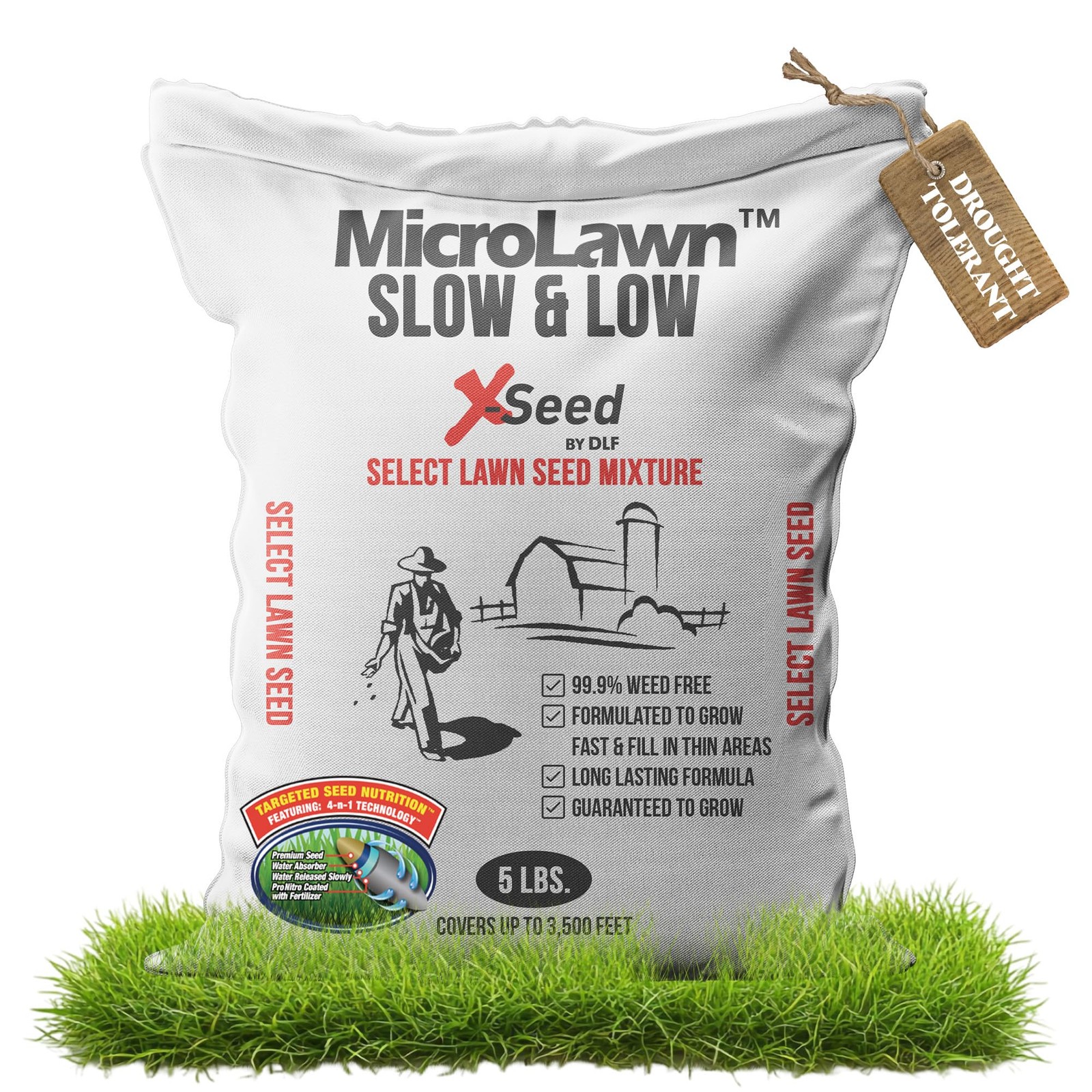 “5LB Micro Lawn Grass Seed for Cool Season, Shade, No Mow, Low Maintenance”
