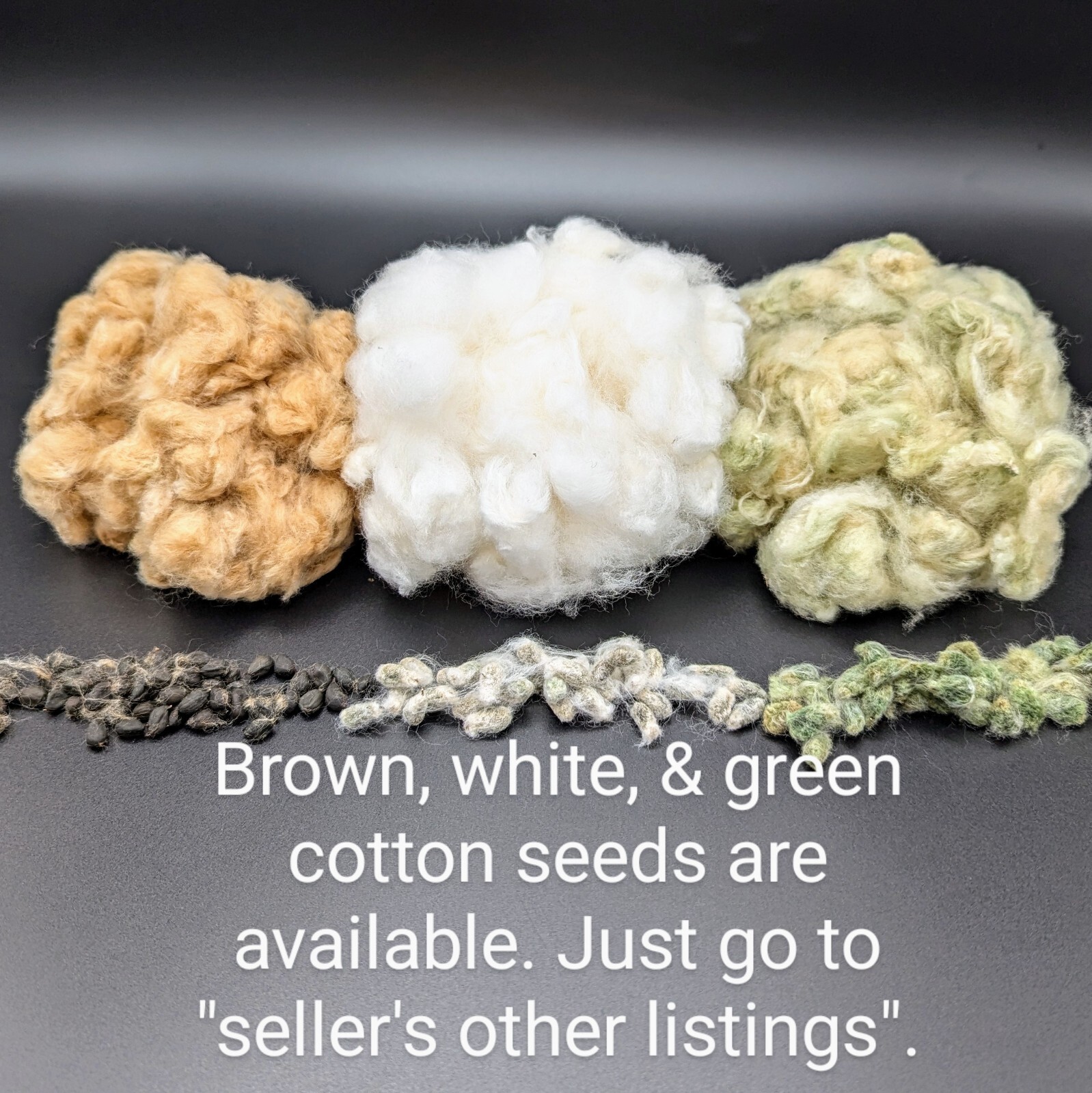 10 FRESH Erlene’s Green Cotton Seeds, Gossypium hirsutum