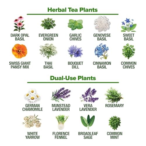 Herb Seeds 32 Medicinal Herbs and Tea Variety Pack – Annual & Perennial Herb