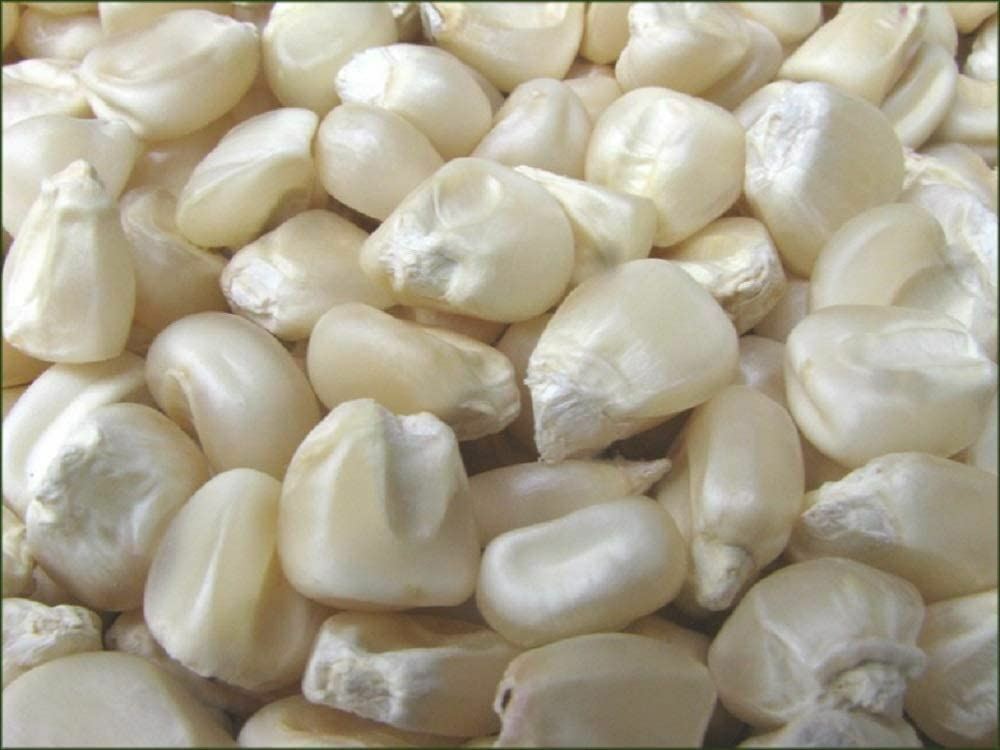 Corn Seed , Stowell’s Evergreen Corn Seeds,”COOL BEANS N SPROUTS” Brand. Home G