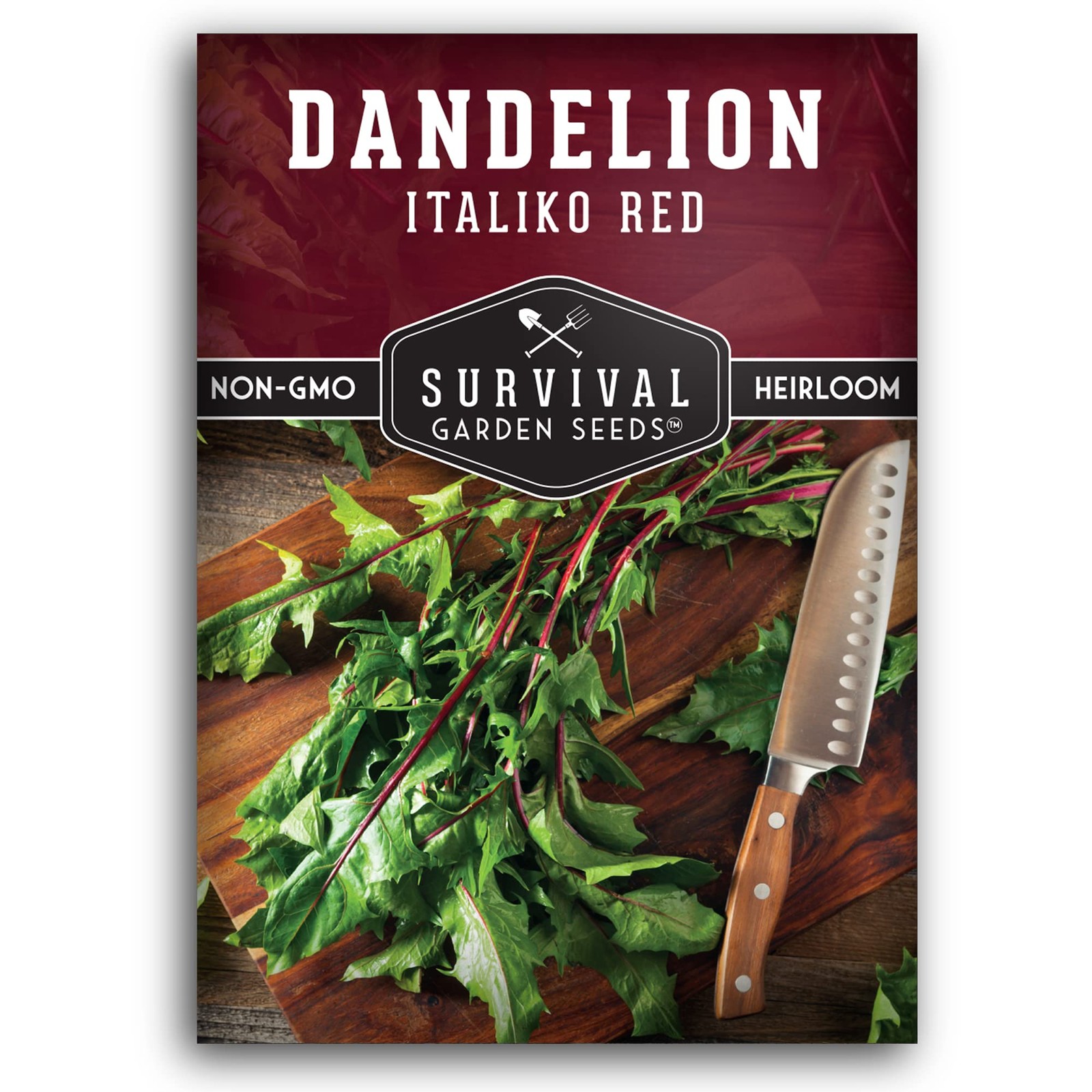 Red Chicory Seeds For Planting Heirloom Italian Greens Burgundy Stems 1 Pack