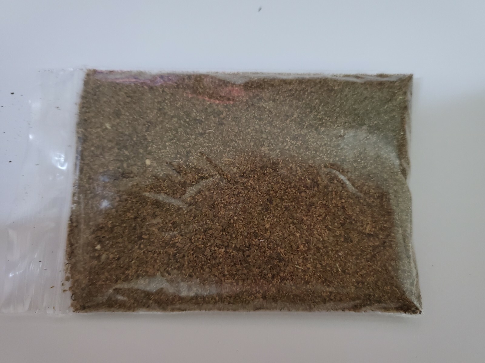 Artemisia annua sweet wormwood TEA (7 Grams)