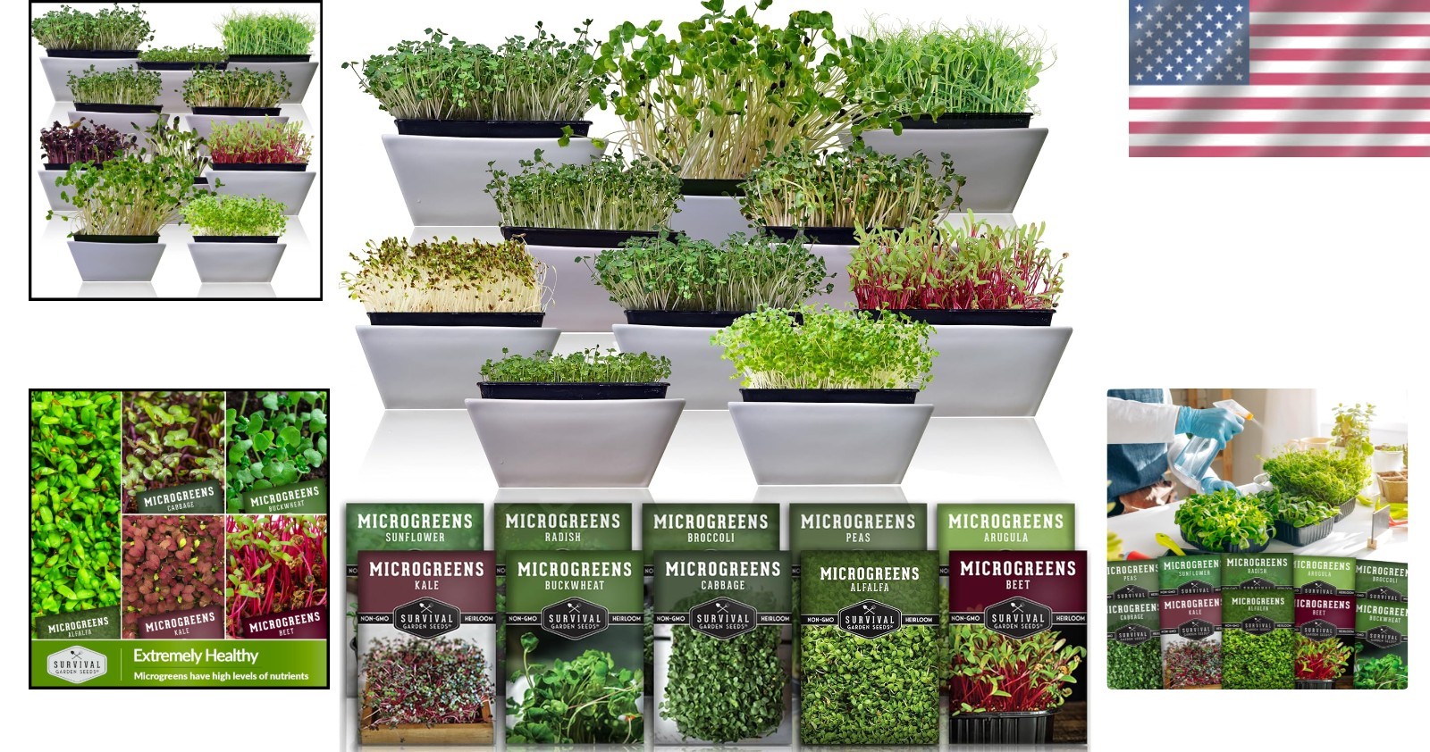 -Round Indoor Microgreens: 10 Varieties of Non-GMO Seeds for Healthy Living