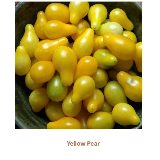 Heirloom Tomato Seeds Assortment – 8 Garden Favorites 200 total seeds
