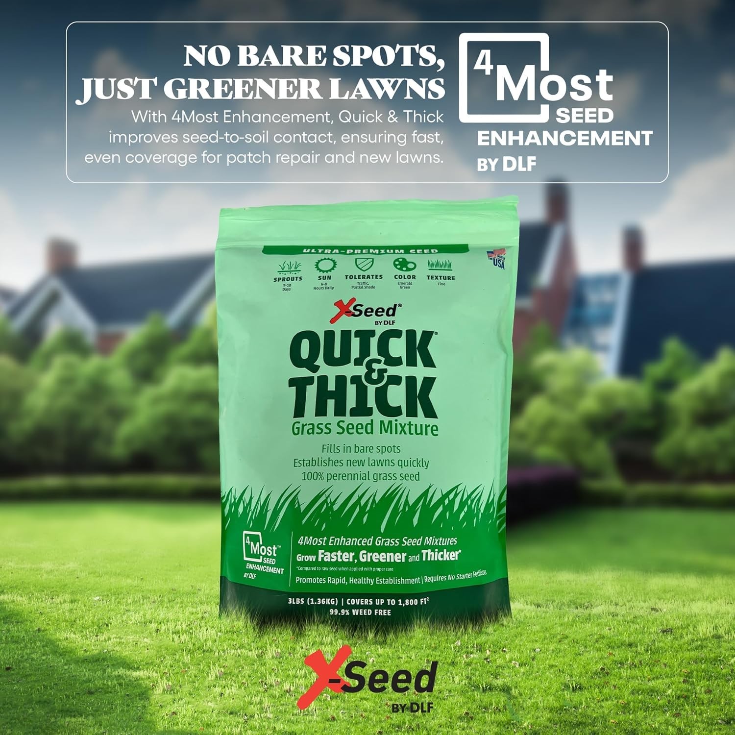 Ultra Quick and Thick Lawn Seed Mixture – Rapid Germination for Any Lawn, De…
