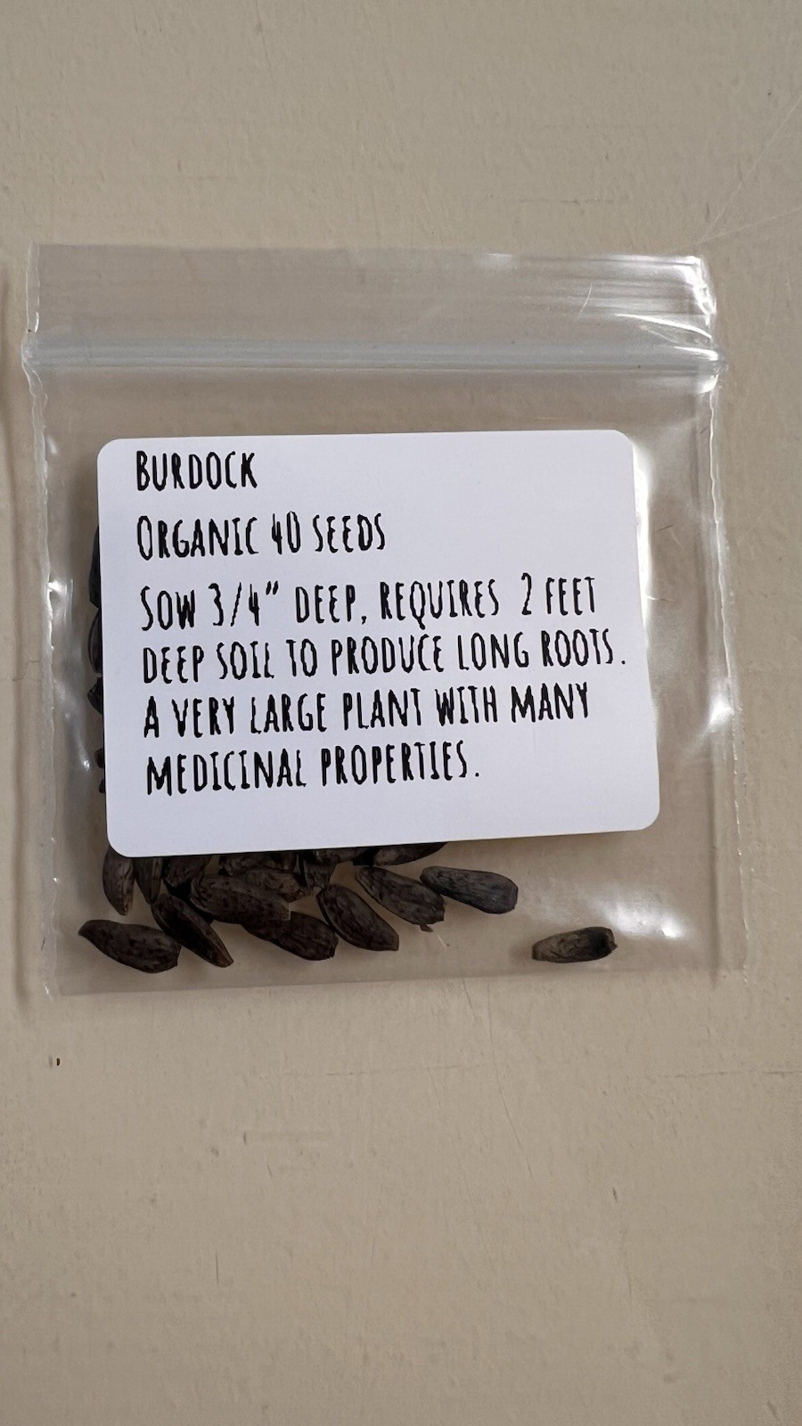 BURDOCK SEEDS, 40 Seeds, Medicinal Herb, Biennial, Organic