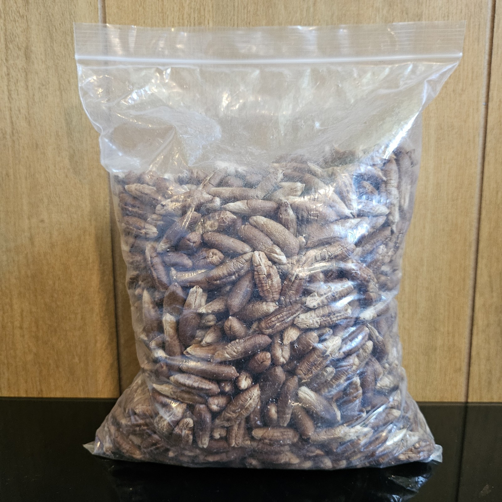 1,000 Medjool Date Pits (Seeds Only) 3 Lbs