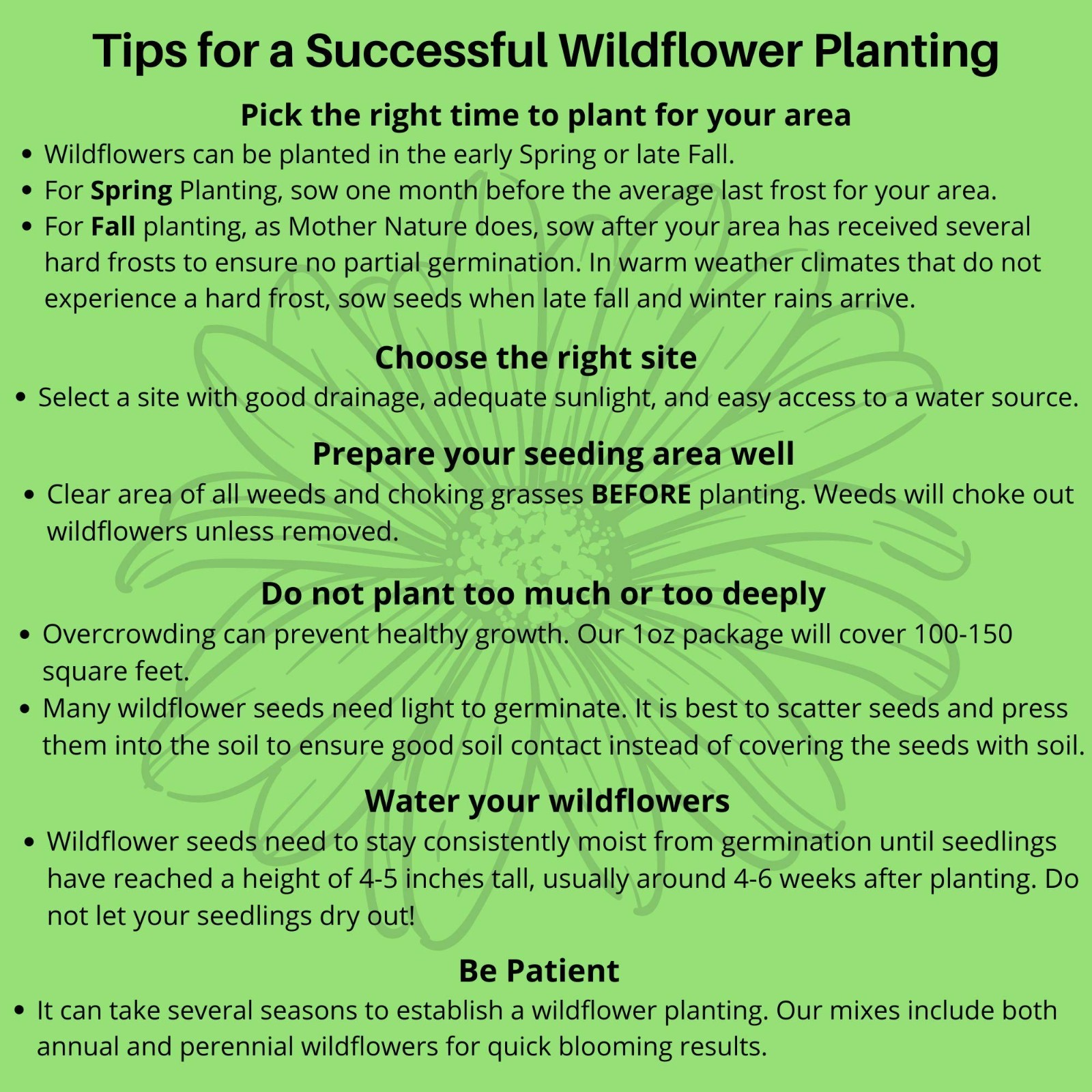 Wildflower Seed Mix 4oz – Open-Pollinated, No Fillers, Annual & Perennial Seeds