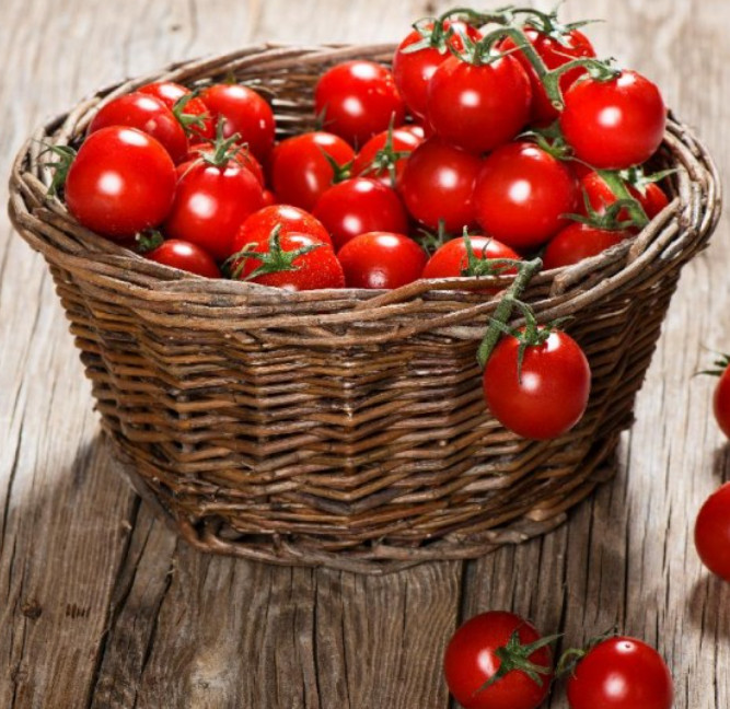 Tomato SWEETIE Cherry Tomato Indeterminate Heirloom SWEET!! Non-GMO 50 Seeds