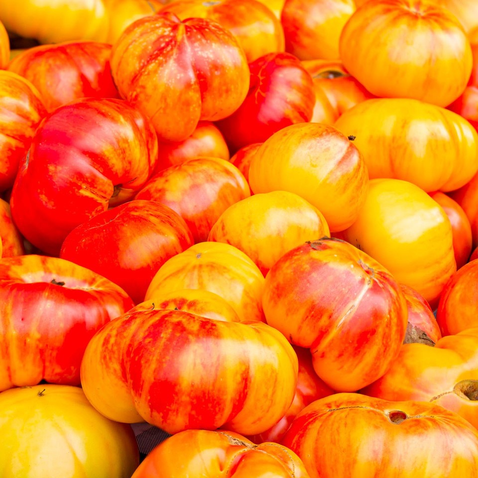 Virginia Sweets Tomato Certified Organic. 10 Heirloom Seeds. Free Shipping!