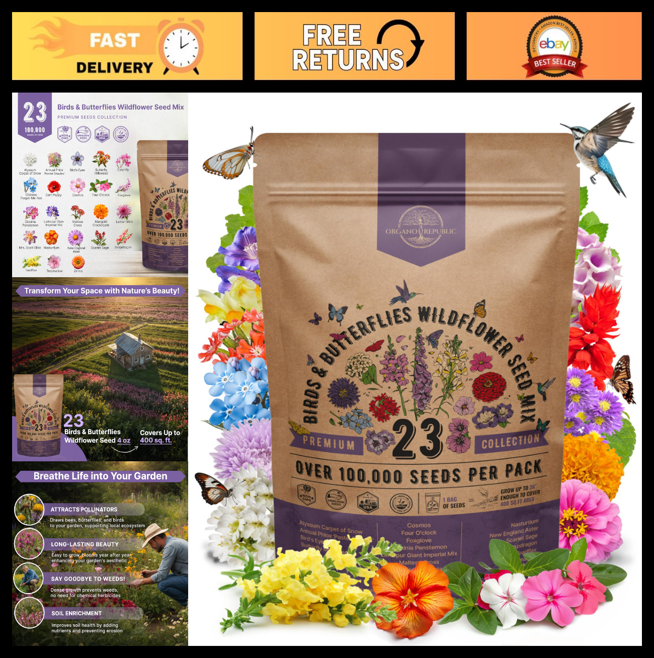 Wildflower Seeds Mix for Indoor & Outdoor Garden, Attract Birds & Butterflies, 1