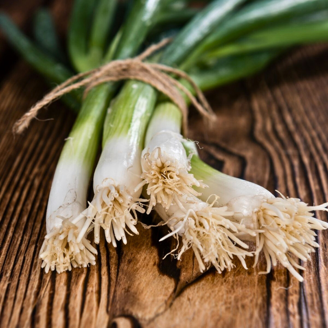 Fresh White Bunching Onion | Asian Green Onion | Heirloom Non-GMO | Vegetables