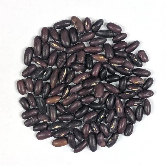 30 Provider Bush Green Bean Seeds – Heirloom NonGMO SUPER High Yields!!