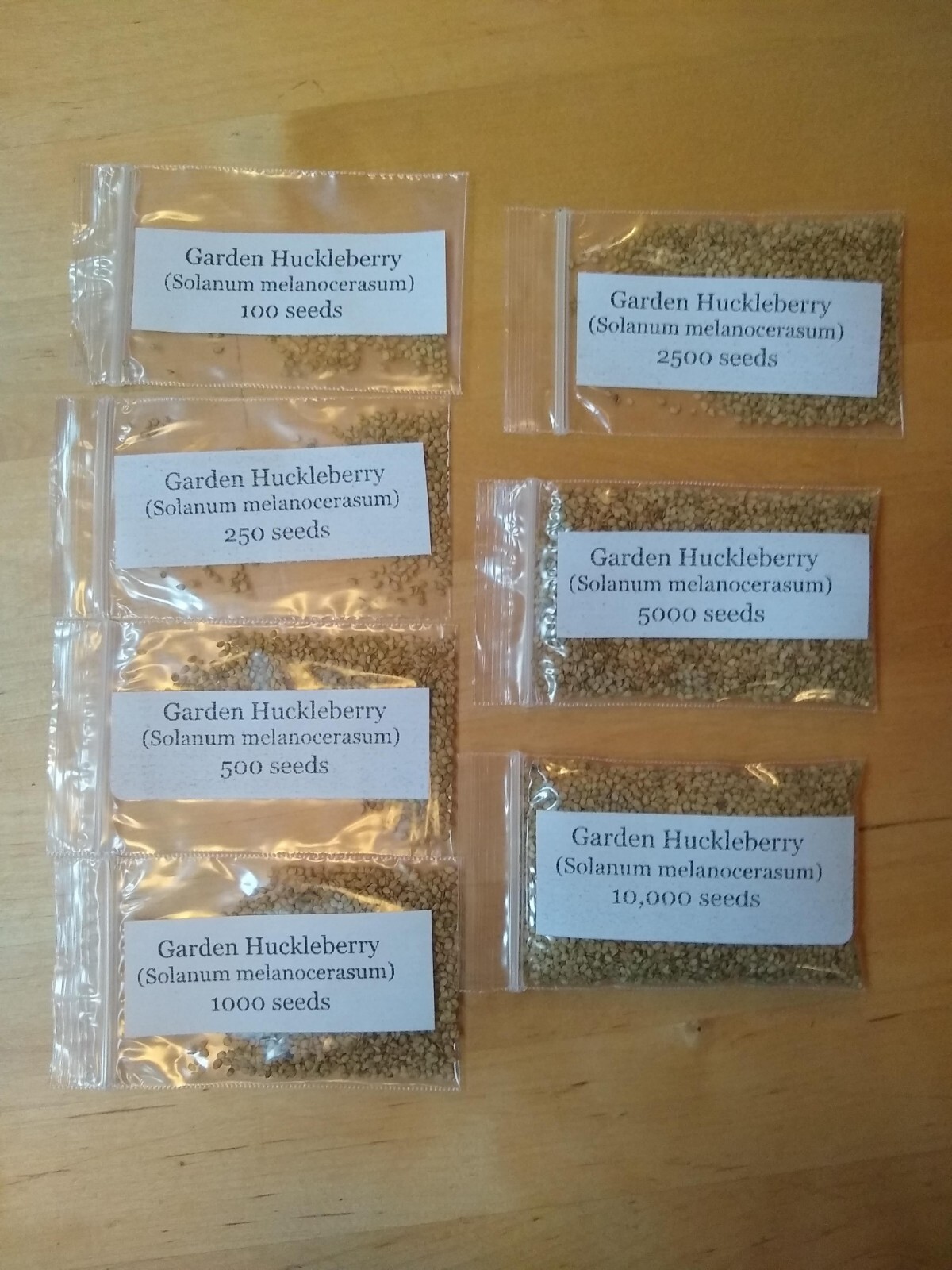 Garden Huckleberry Seed (Solanum melanocerasum) ~ 100 to 10,000 seeds
