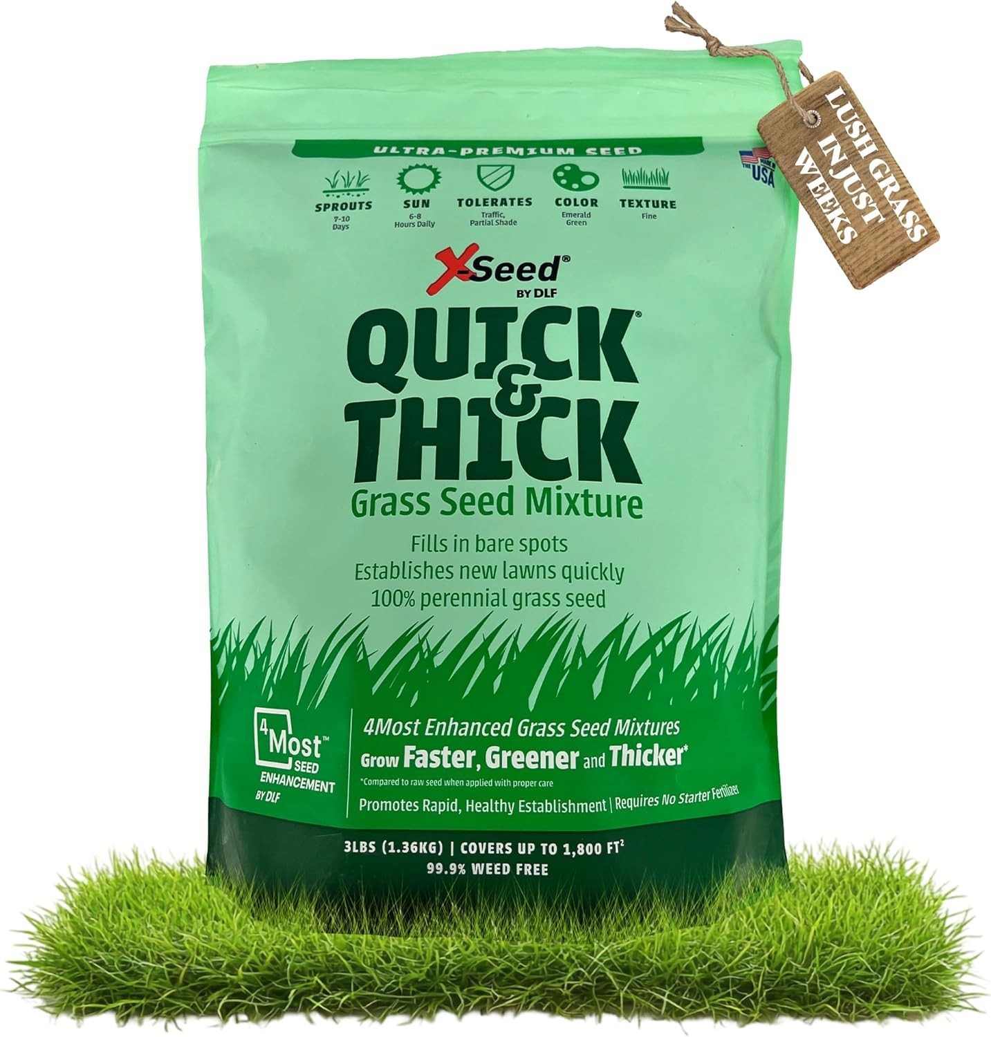 Ultra Quick and Thick Lawn Seed Mixture – Rapid Germination for Any Lawn, De…