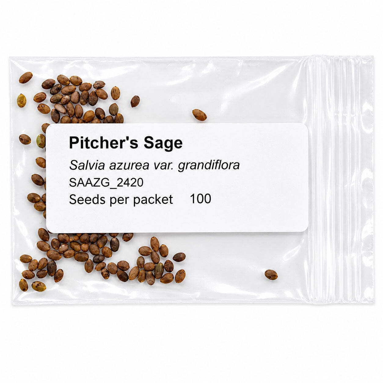 Mini Native Tall Bird Lovers Seed Mix | Prairie Legacy Inc.
