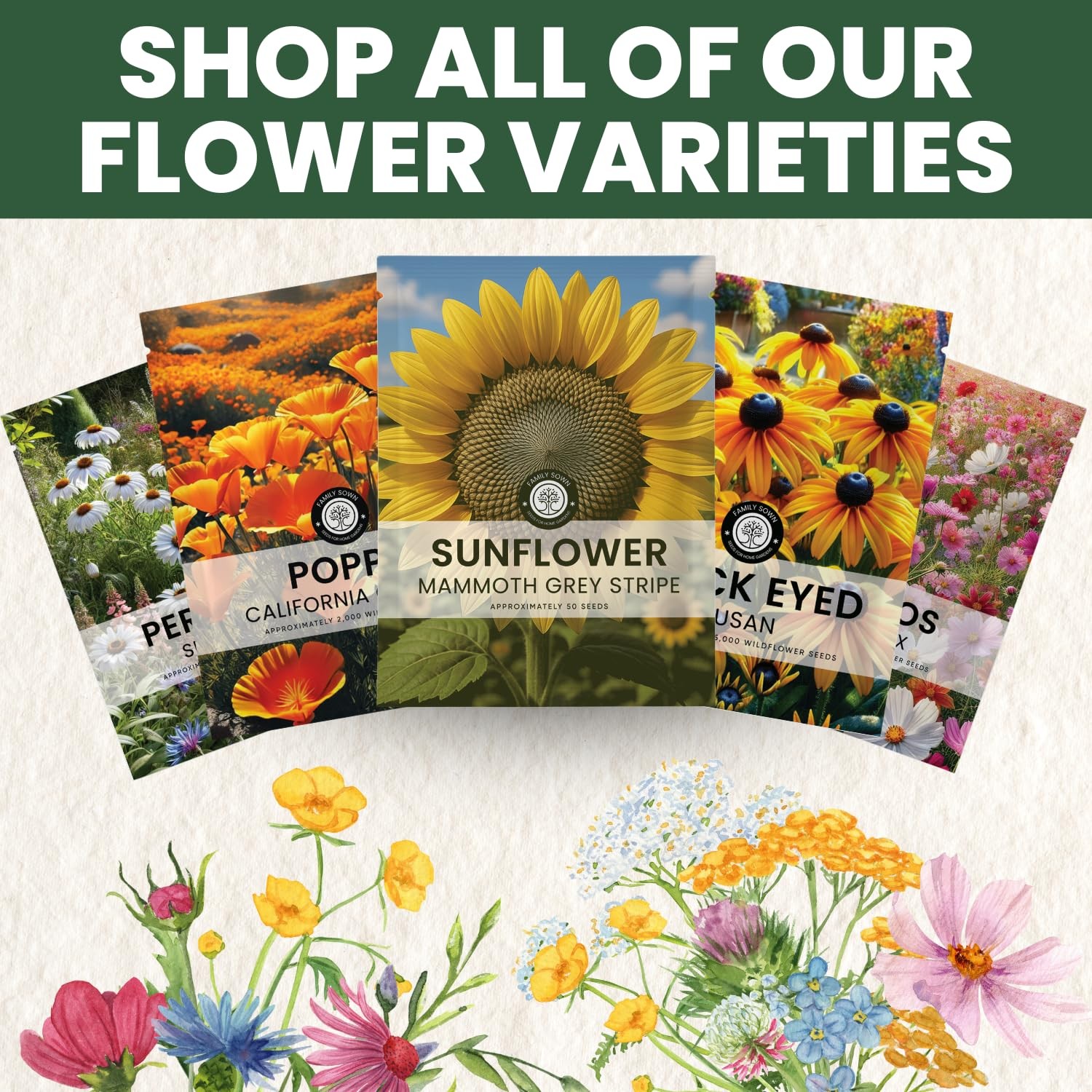Large Grey Stripe Sunflower Seeds – 1,000 Count for Planting – 4 Ounce Packet