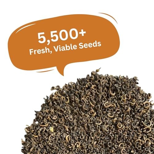 Calendula Seeds Pacific Beauty Mix – 3,000+ Seeds – 1 oz Bulk Extra Large