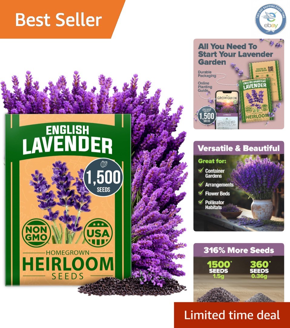 Low Maintenance Non-GMO Lavender Seeds – 1,500+ Blooms for Any Skill Level
