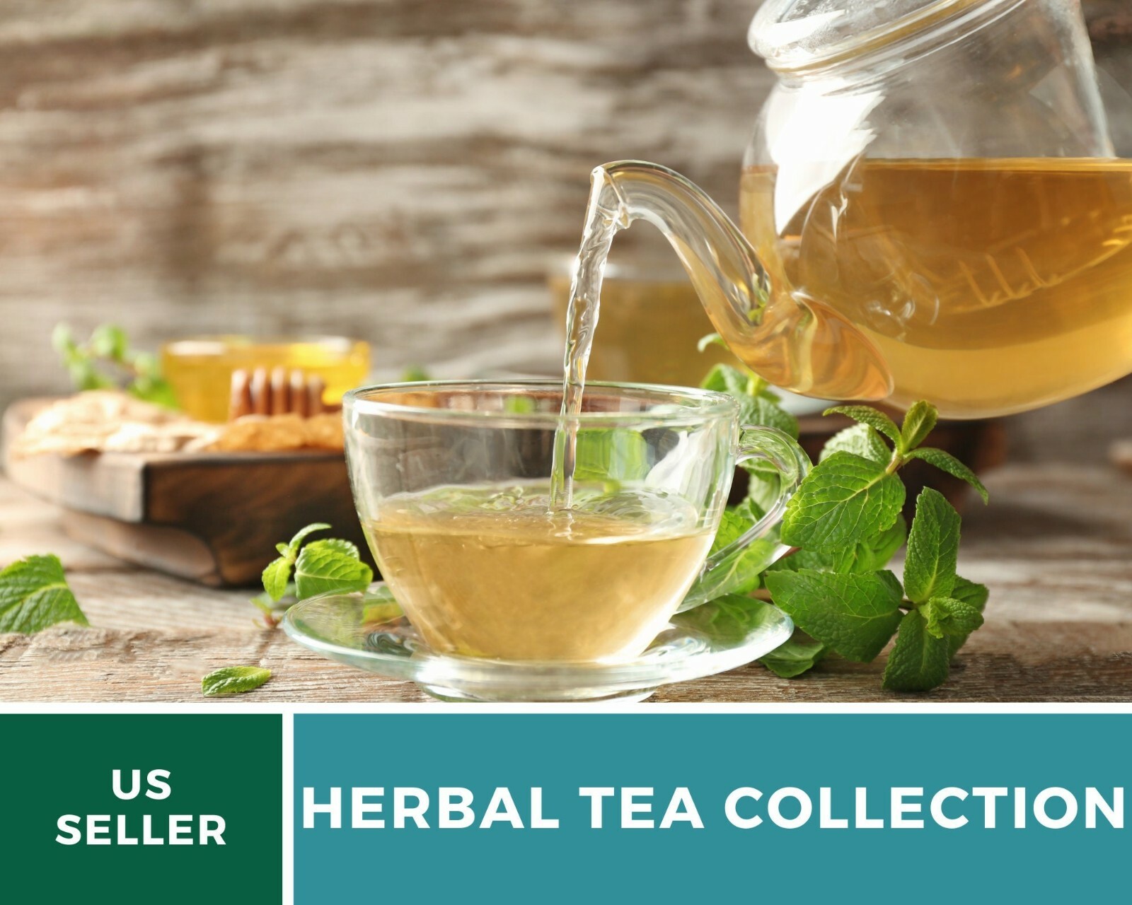 Herbal Tea Seed Collection – 6 Essential Herbs – Non-GMO