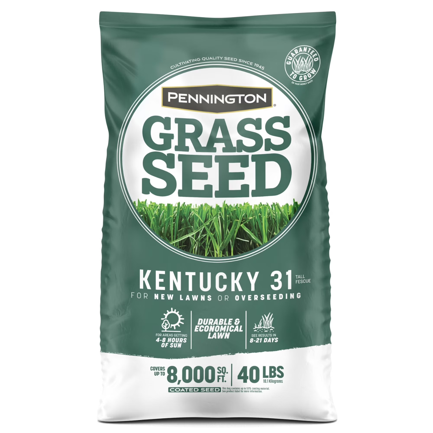 Hot Pennington Kentucky 31 Tall Fescue Grass Seed 40 lb Sun Shade Lawn Repair