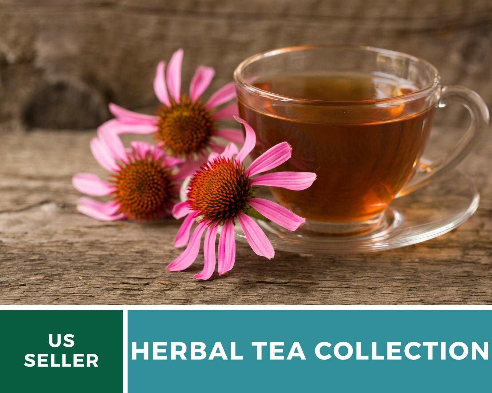 Herbal Tea Seed Collection – 6 Essential Herbs – Non-GMO