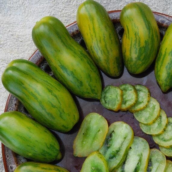 Green Sausage Tomato Seeds | Organic