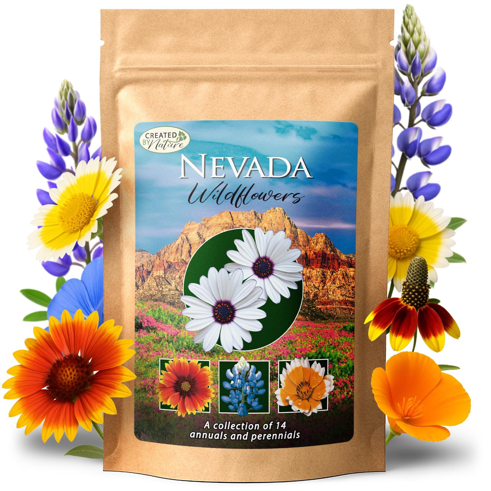 Nevada Wildflower Seed Mix, 14 Flower Varieties, 30,000 Seeds