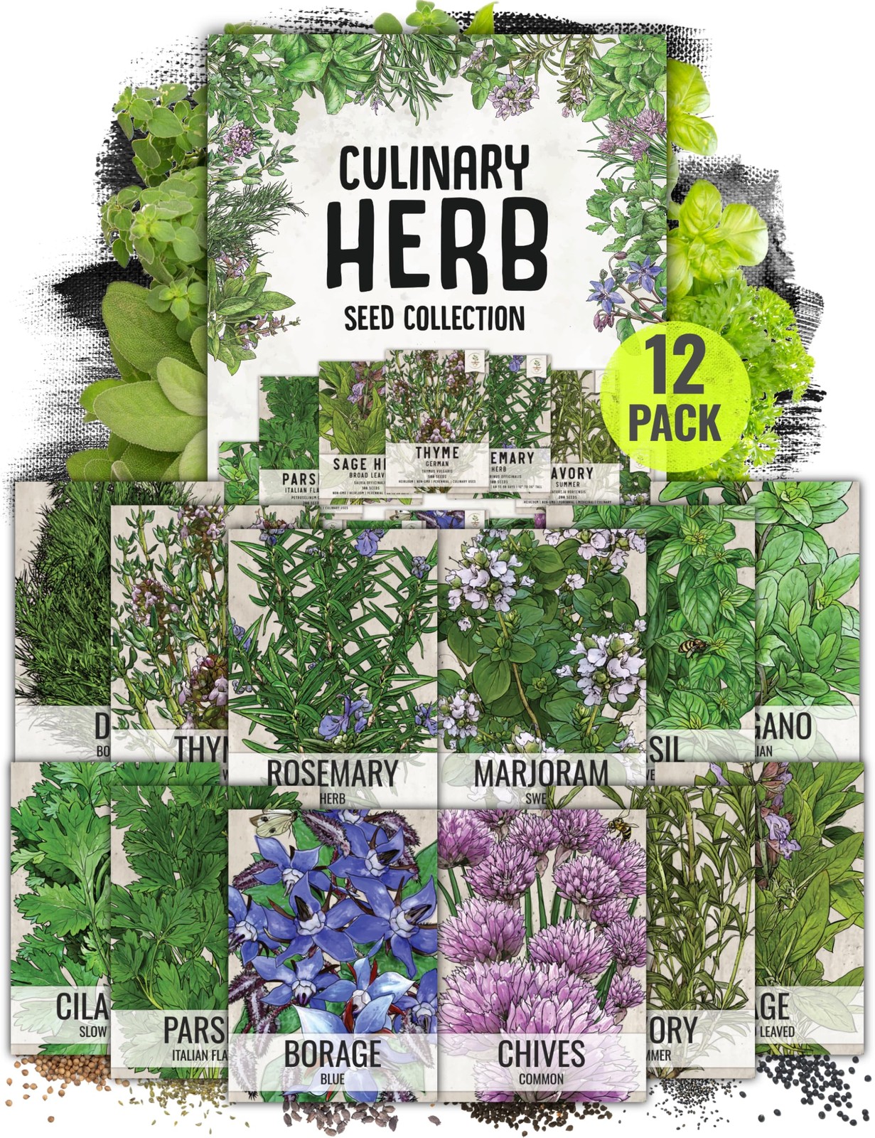 Seed Needs Herb Seeds Variety Pack Culinary Herb Collection (12 Individual Packe