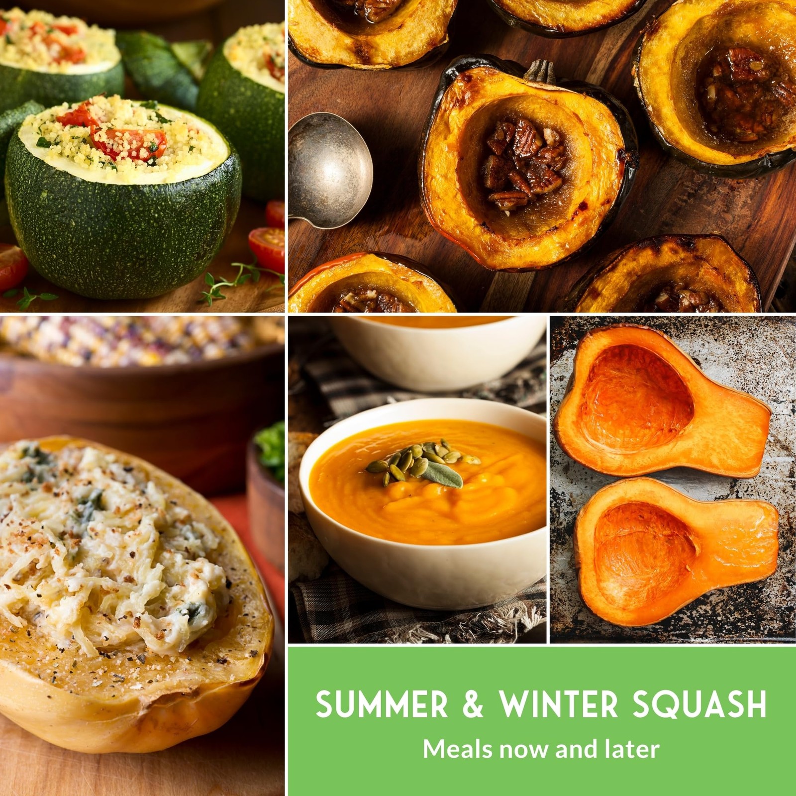 Heirloom Squash Seeds Variety Pack 5 NonGMO Summer & Winter Types