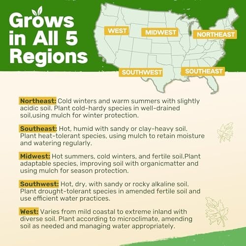 32 Non-GMO Wildflower Seed Pack – Gardening Gifts for Mom, Annual & Perennial Se