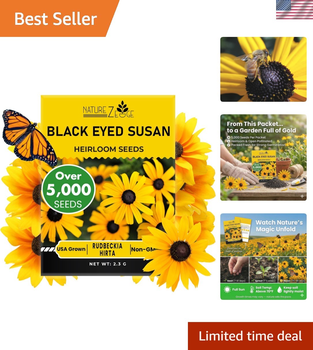 Black Eyed Susan Seeds for Planting, 5000 Seeds, Giving You Beautiful Black E…
