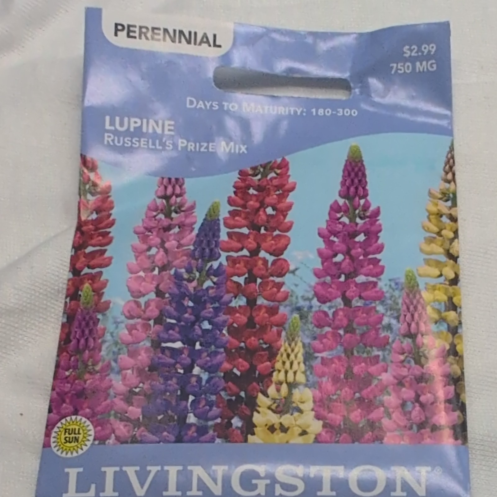 Livingston Lupine Russell’s Prize Mix Perennial Multicolor Full Sun Bee Y1585
