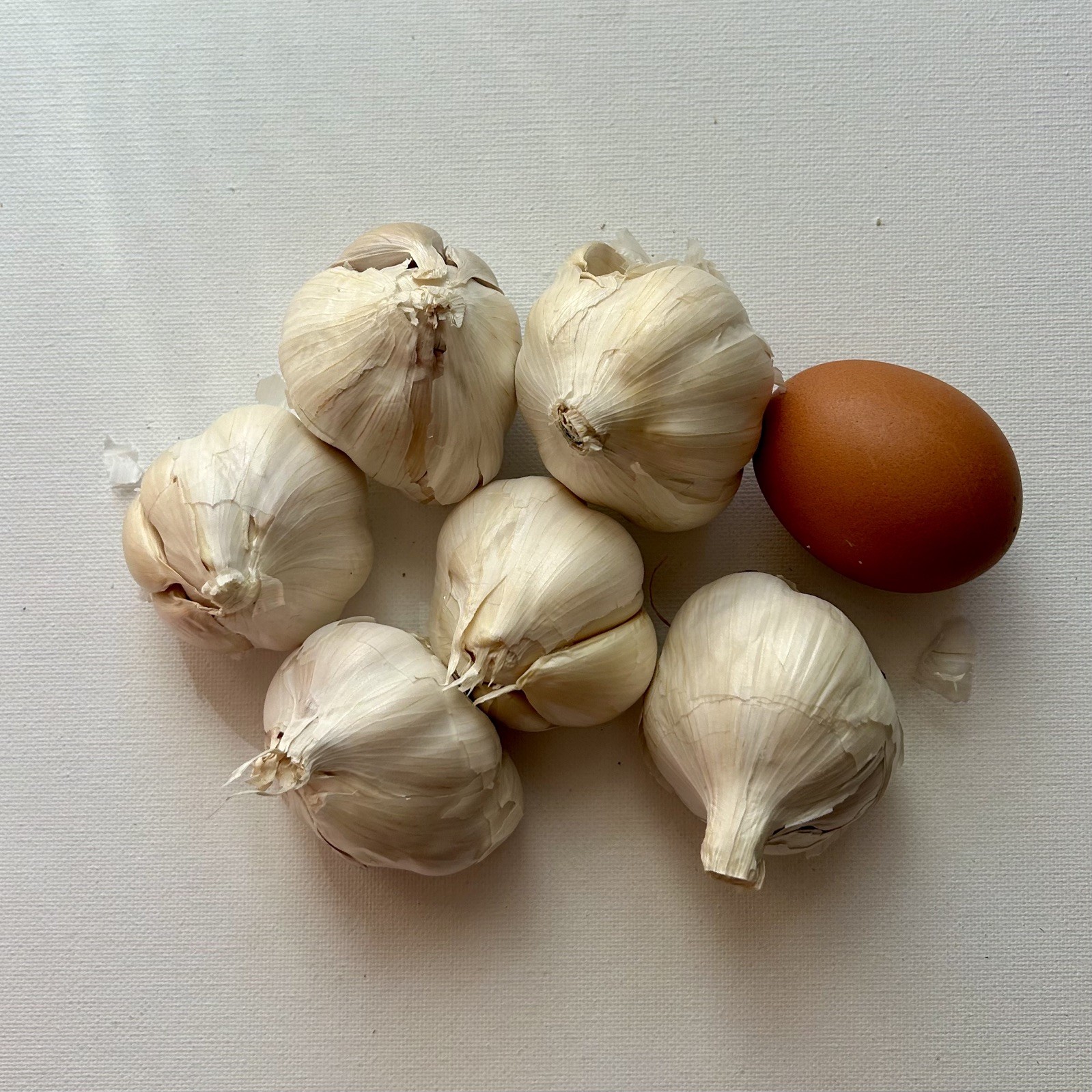 California Softneck Garlic, 6 Bulbs. Great for Fall or Spring Planting