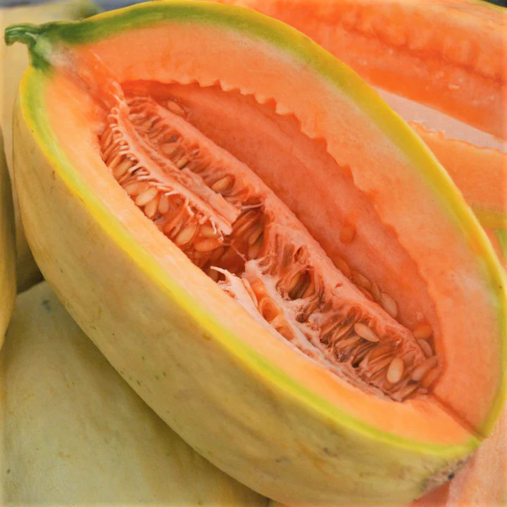 Banana Cantaloupe Seeds | Orange Casaba Melon Papaya Tropical Fruit Seeds 2024
