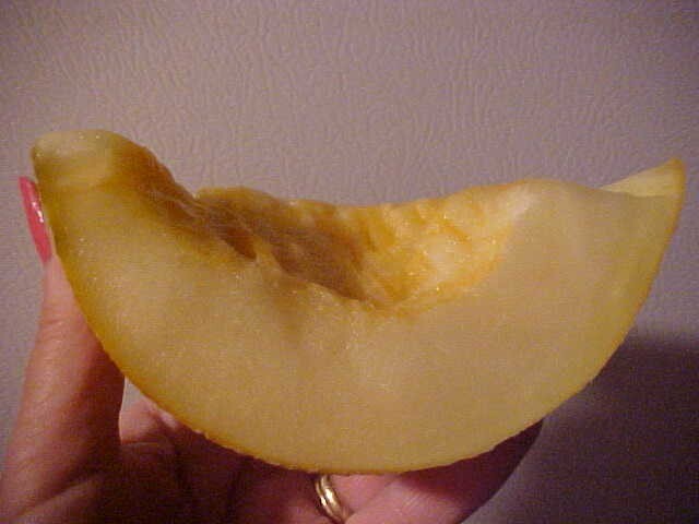 WORLD KNOWN 150 SEEDS PECOS CANTALOUPE MELON SAID TO BE SWEETEST CANTALOUPE