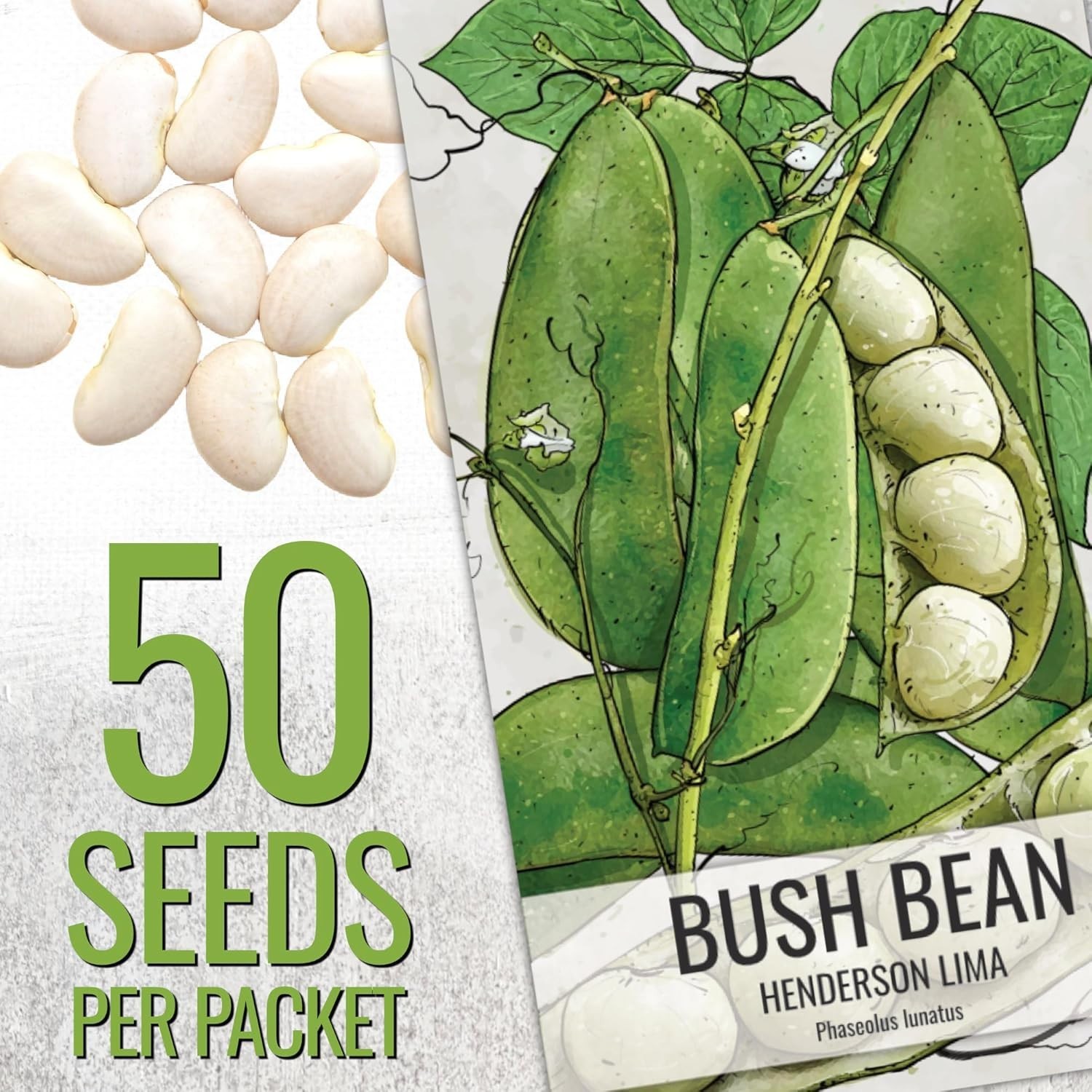 Henderson Lima Bean Seeds – Non-GMO Heirloom for Your Vibrant Vegetable Garden