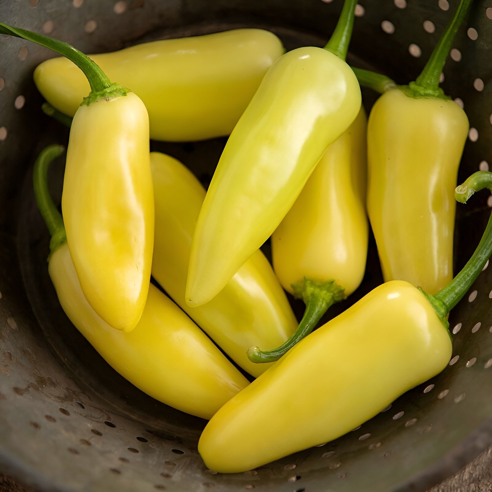 100ct Heirloom Cal Oro Pepper Seeds AKA Yellow Jalapeno – Medium Heat NonGMO