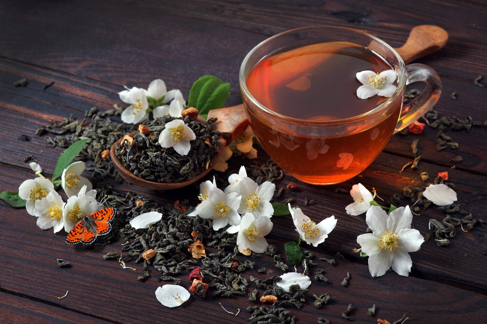 5 TEA PLANT Black & Green Drinking Tea Camellia Sinensis Tree Shrub Flower Seeds