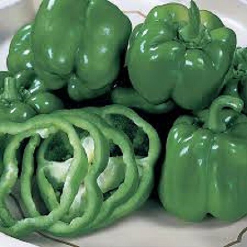 Premium California Bell Pepper – Most Popular Bell Pepper Variety in the World!